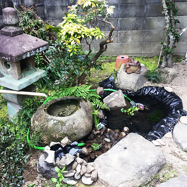 壁/天井のインテリア実例 - 2020-04-15 16:23:29