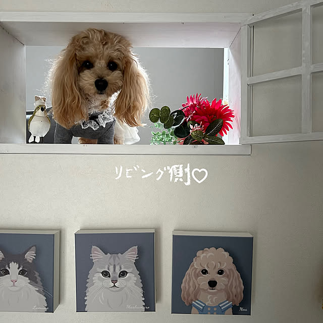Akubiさんの部屋