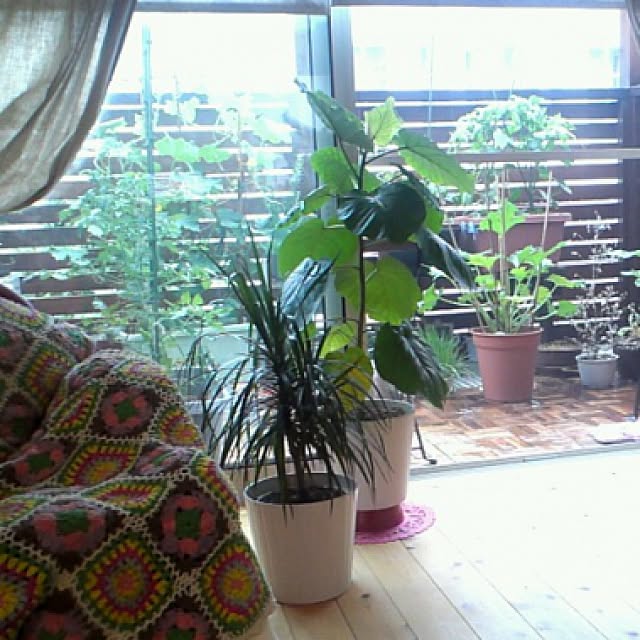 minanさんの実例写真