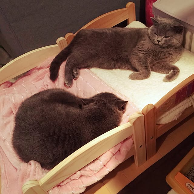mami1219さんの実例写真