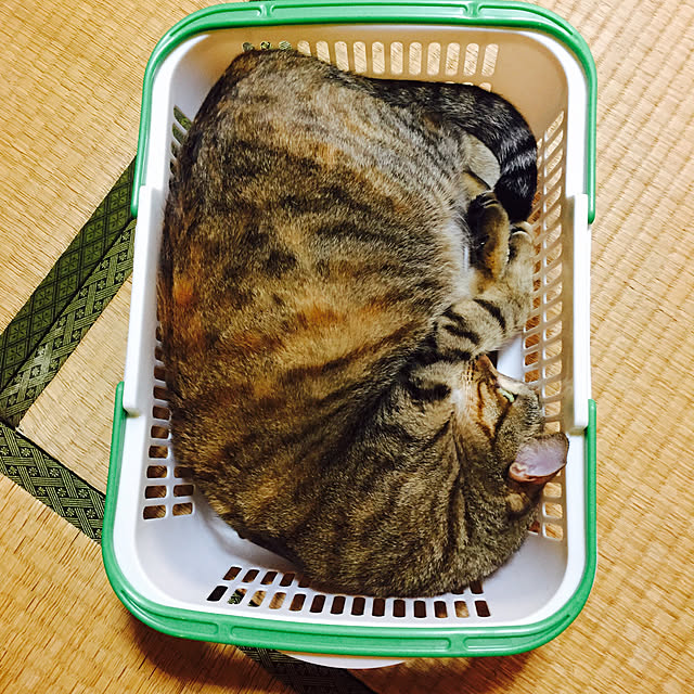 MASAさんの実例写真