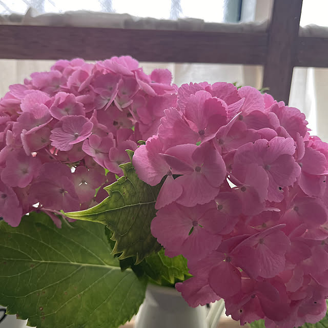 okkunさんの部屋