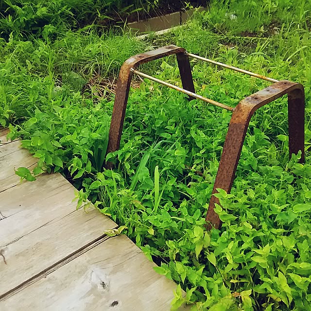 kadoさんの実例写真