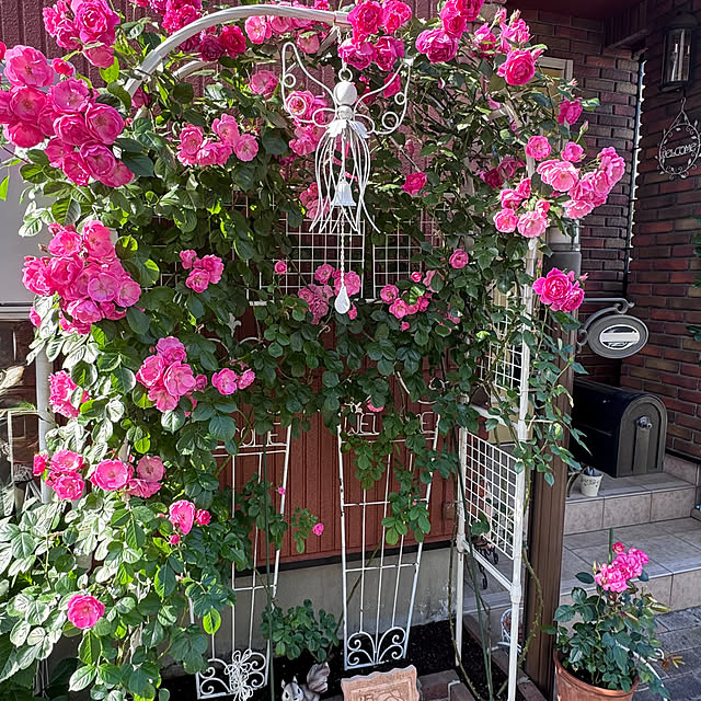 RoseLife5818さんの部屋