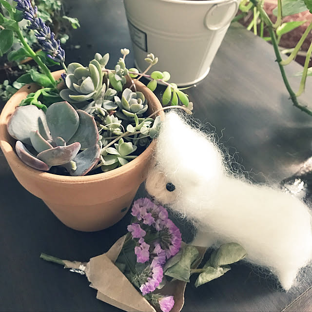 pakilaさんの実例写真