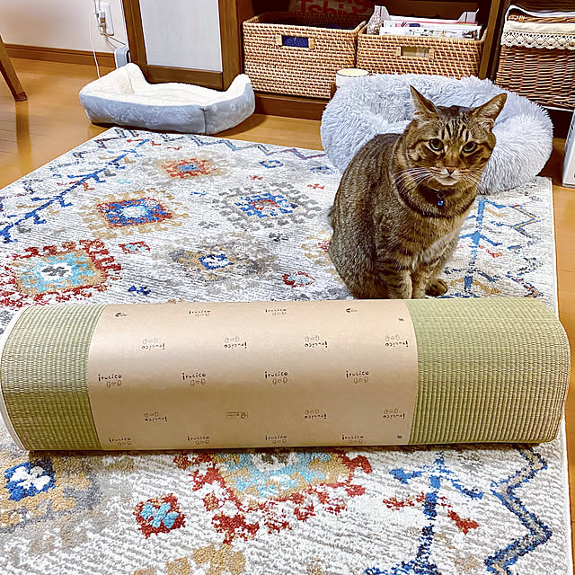 cocomaroさんの実例写真