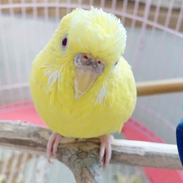 Aki..さんの実例写真