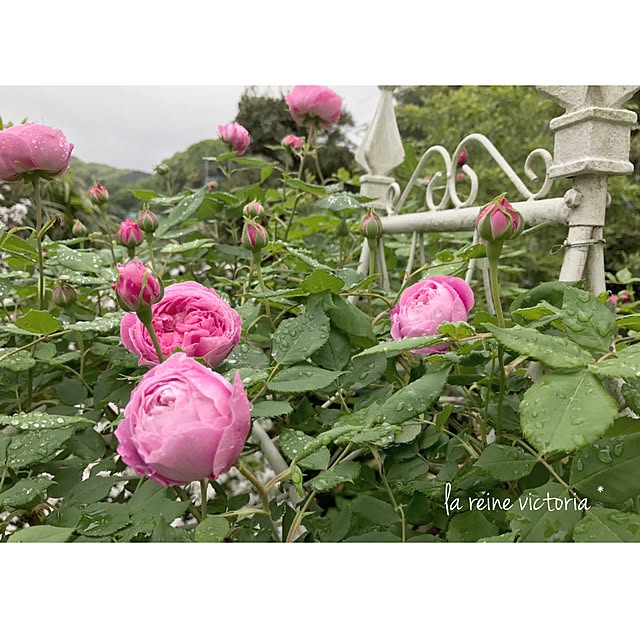s.mamaさんの実例写真
