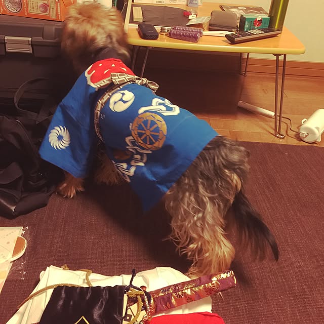 satsukiさんの実例写真