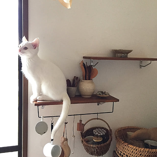 zuiiさんの実例写真
