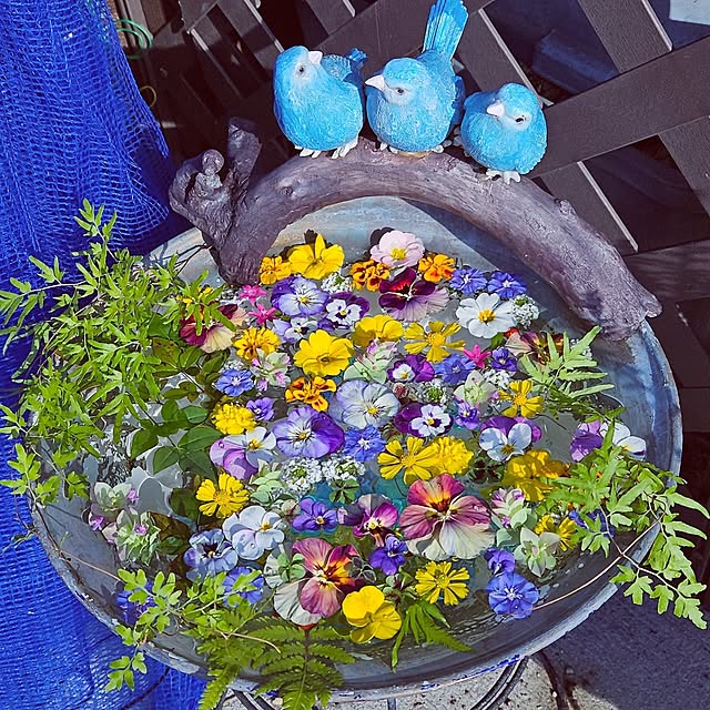 mocomocoさんの実例写真