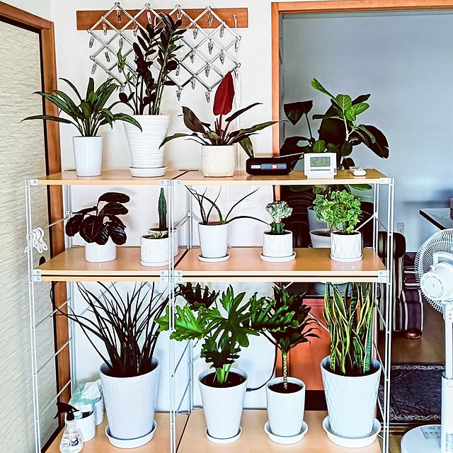 hanachanさんの実例写真