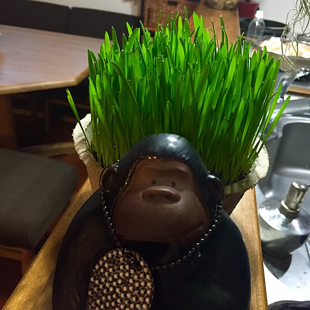 butachanさんの実例写真
