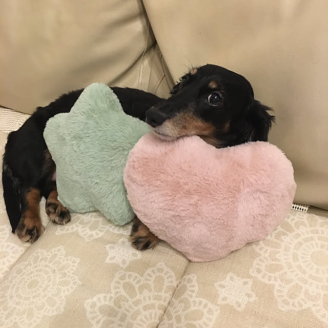 youmitsuさんの実例写真