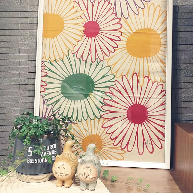 tan5さんの実例写真