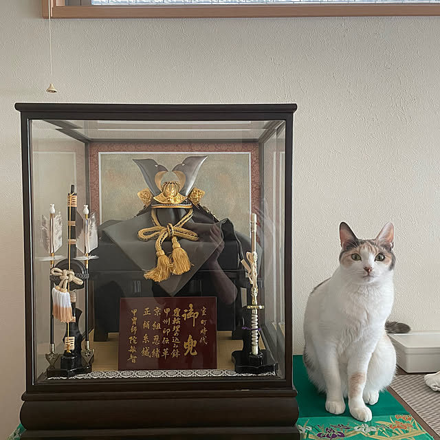 y_09khsm23さんの実例写真