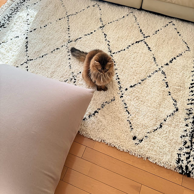 yuri.sさんの実例写真