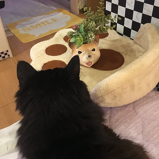 kanaさんの実例写真