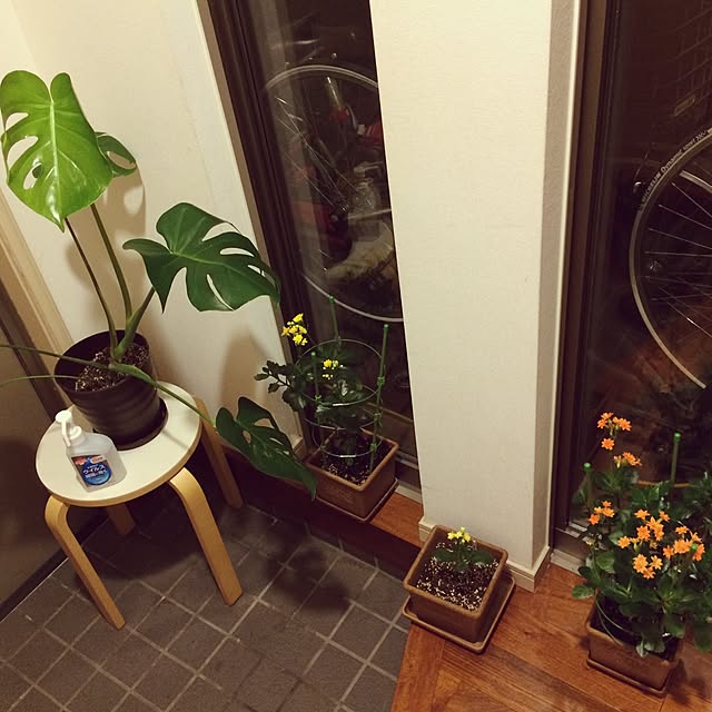 piano.ya168さんの実例写真