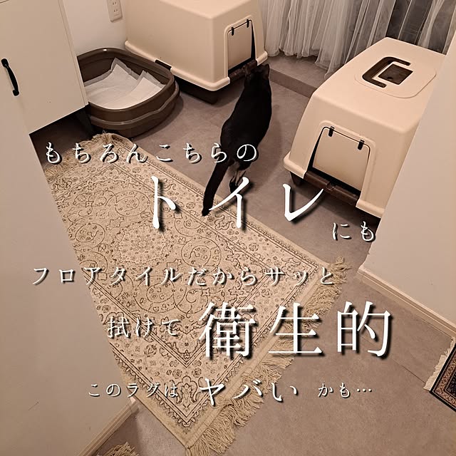 kankanmom_horn_5catsさんの部屋