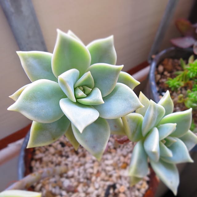 nan_tocoさんの実例写真