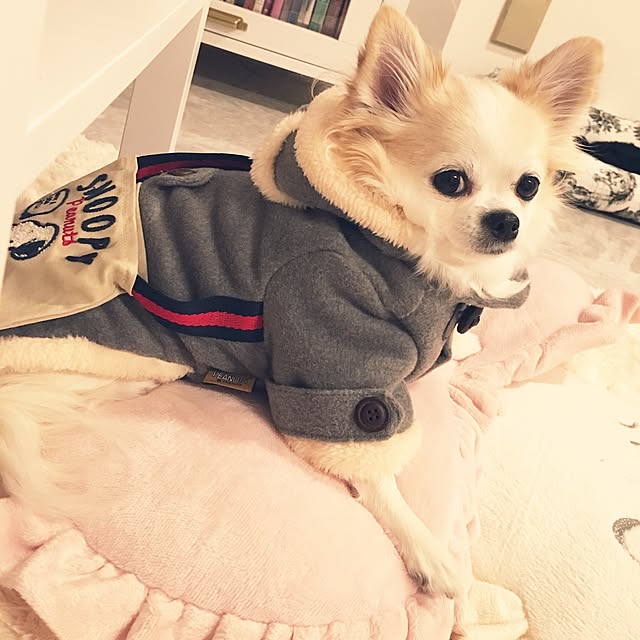 anchovyさんの実例写真