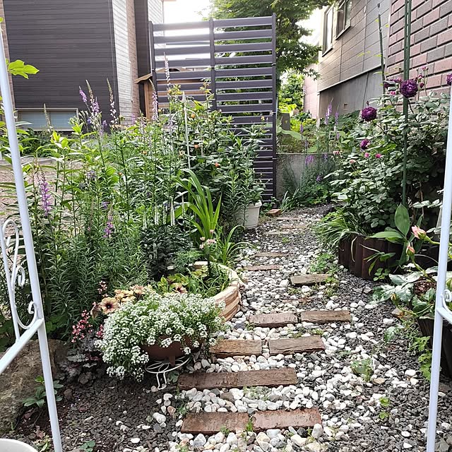 kiraさんの部屋