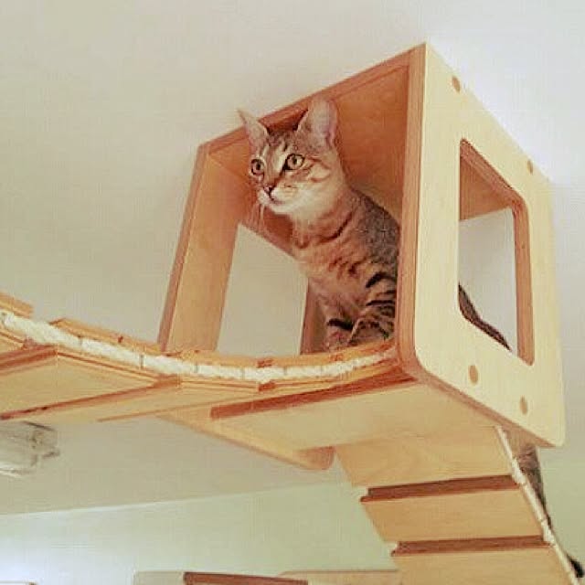nyakanyakaさんの実例写真