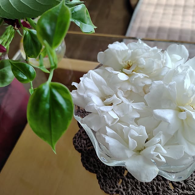 kiraさんの部屋