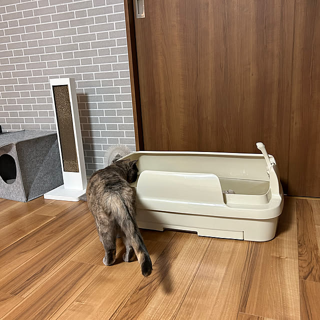 emさんの実例写真