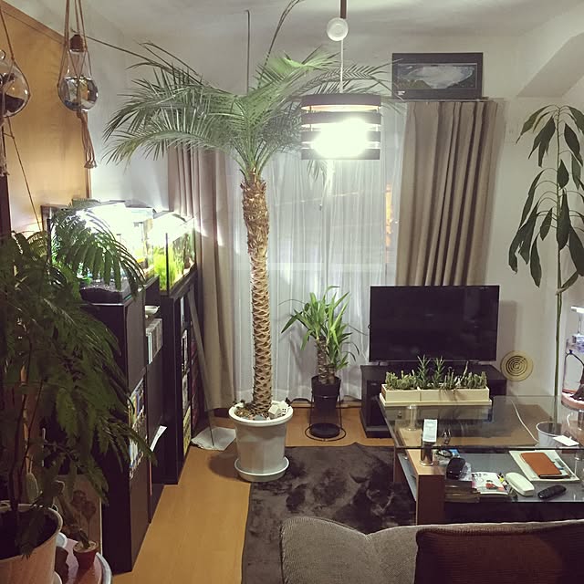 Takeさんの実例写真