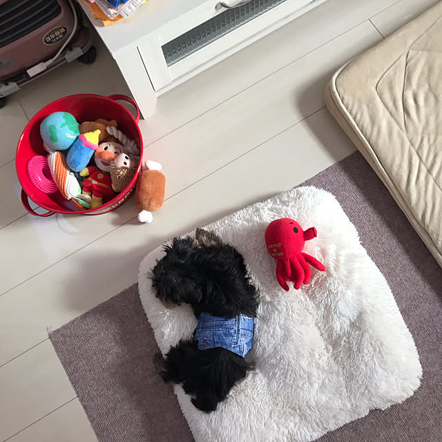 msさんの部屋