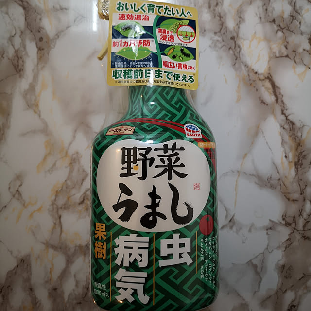 katoさんの実例写真