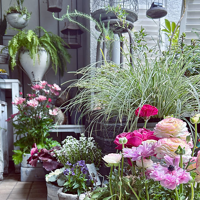 DAYONEさんの実例写真