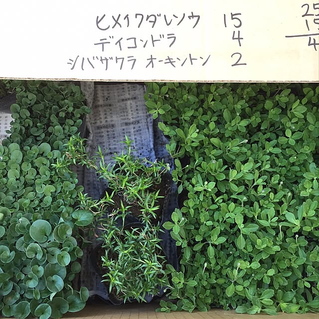 kariyamaさんの実例写真