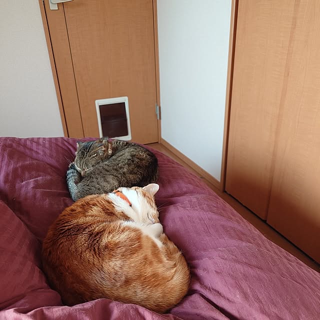 noguriさんの部屋