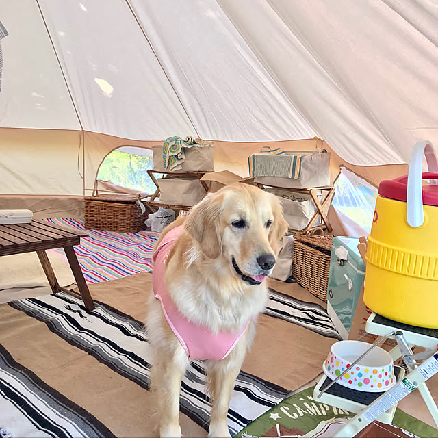 ann.-Yukikoさんの実例写真