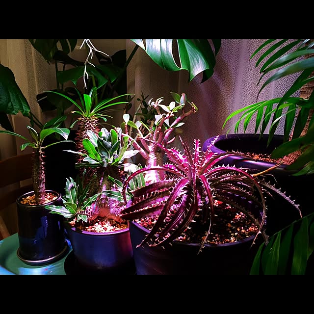sig0320さんの実例写真