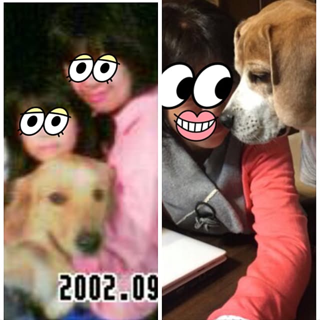 golden.runner.mamaさんの実例写真