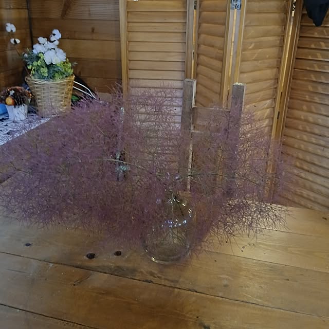 机/朝活/スモークツリーのインテリア実例 - 2025-06-06 09:35:09