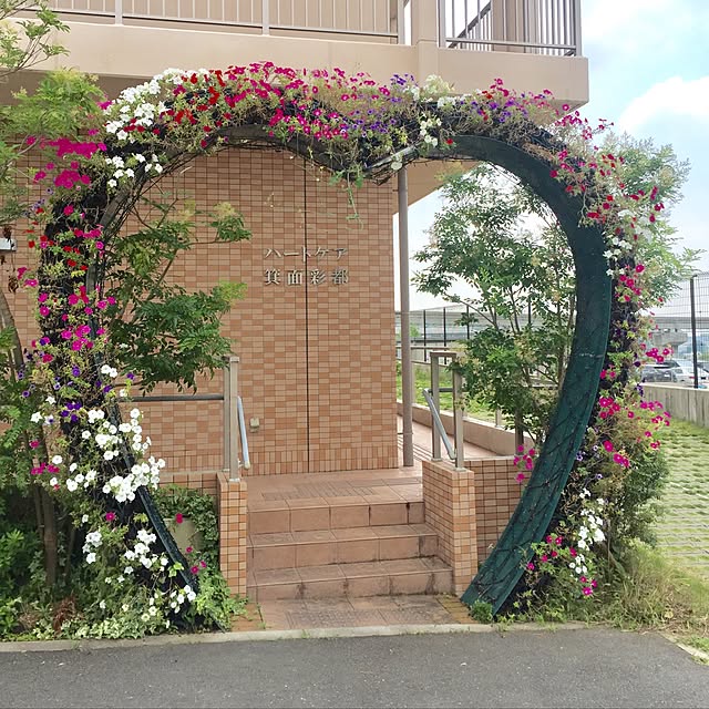 実例写真