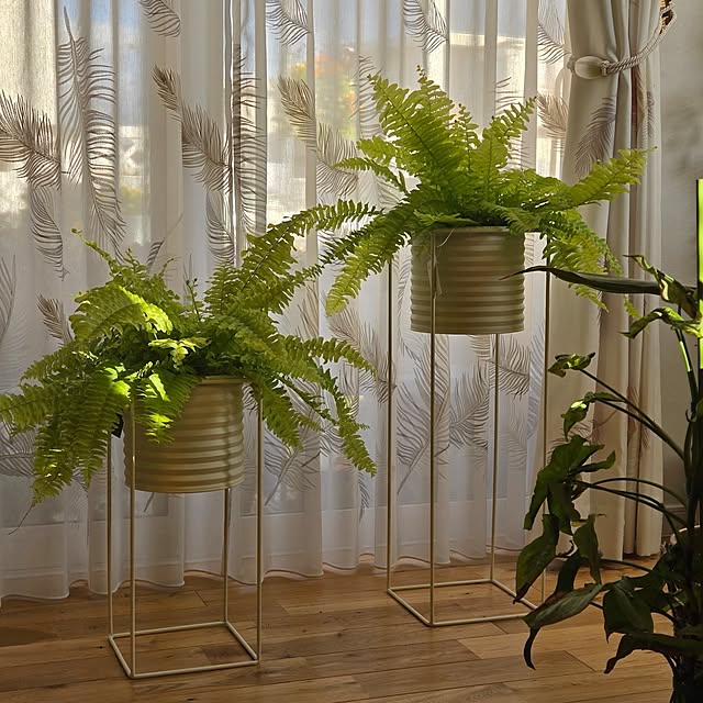 nonbiri_house_さんの部屋