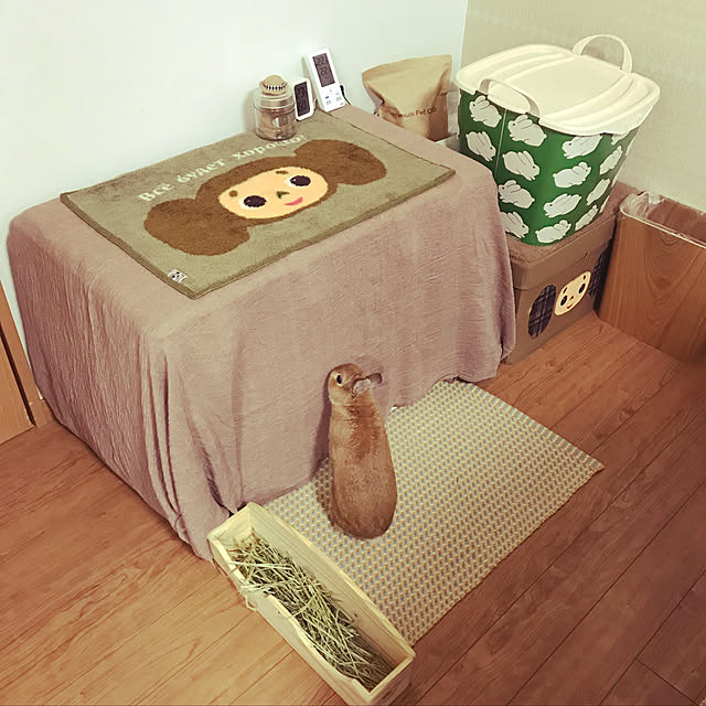 orimaruさんの実例写真