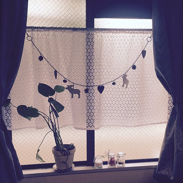Tmy.さんの実例写真