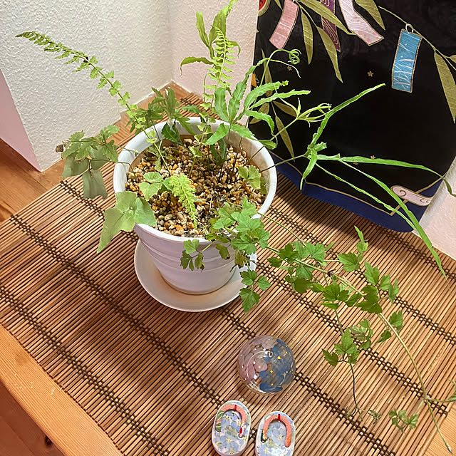 ikubooさんの部屋