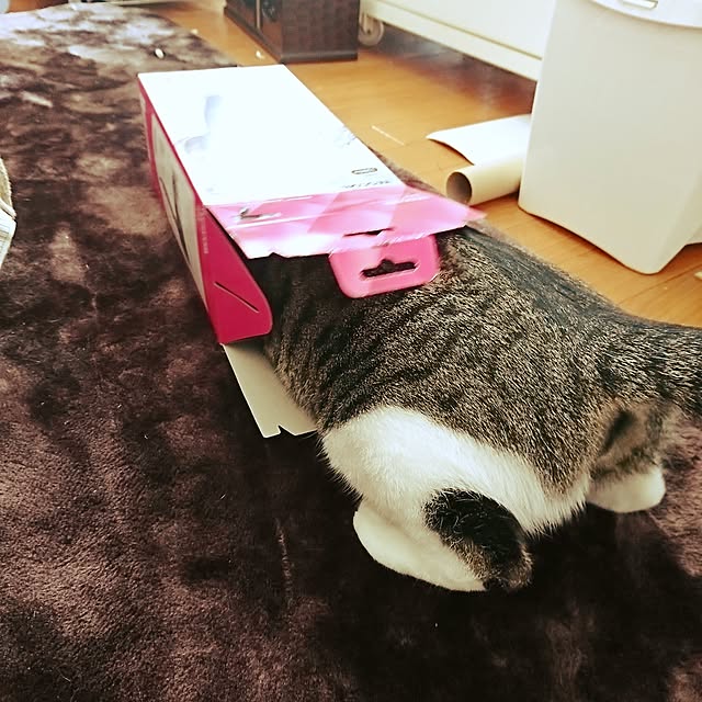 kiraさんの実例写真
