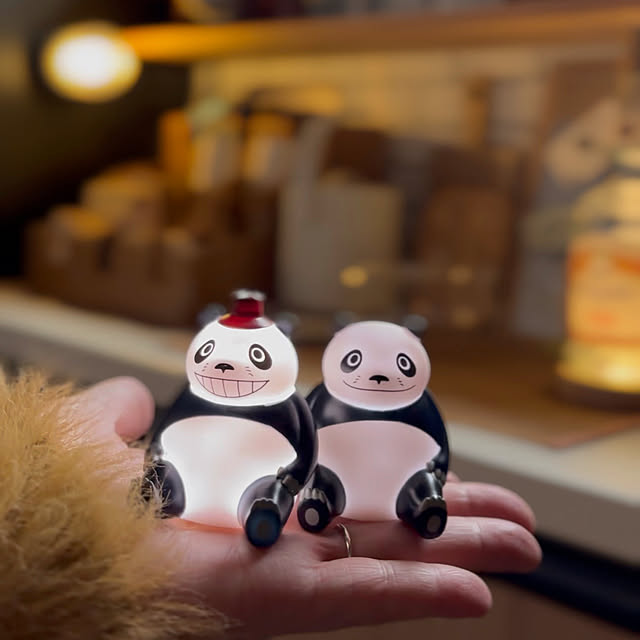 chibinoriさんの実例写真