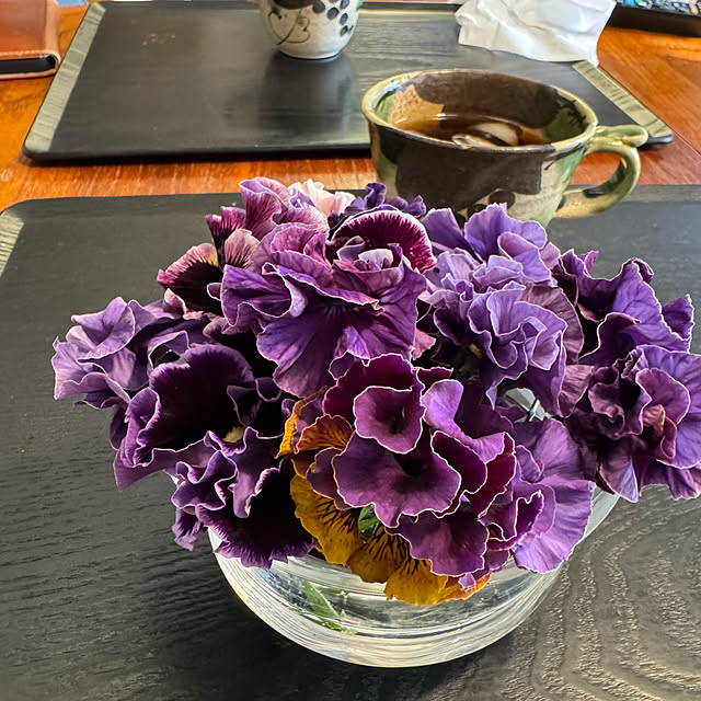 mamizaさんの部屋