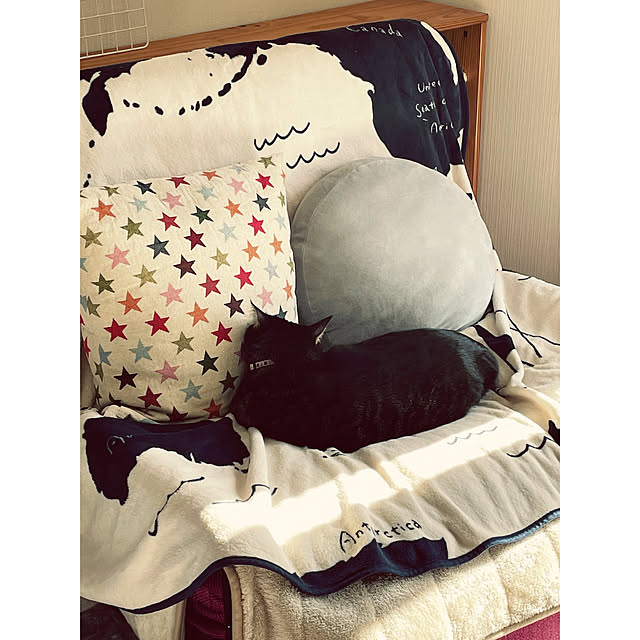 momocchiさんの実例写真