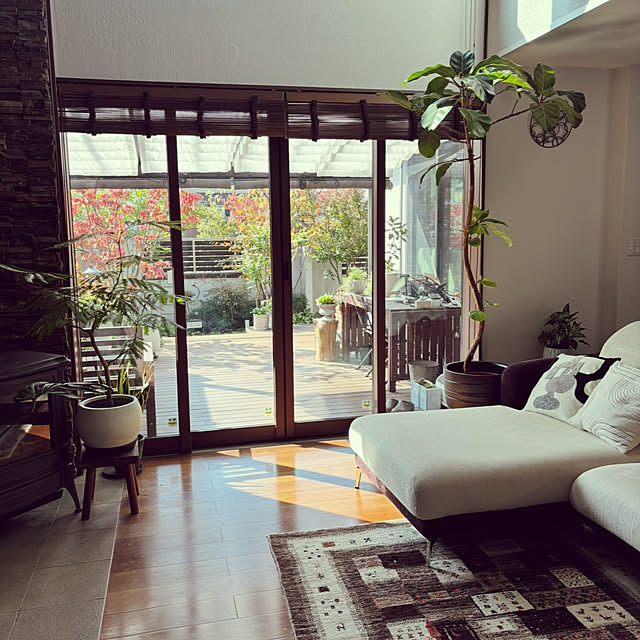 maimai0110さんの部屋